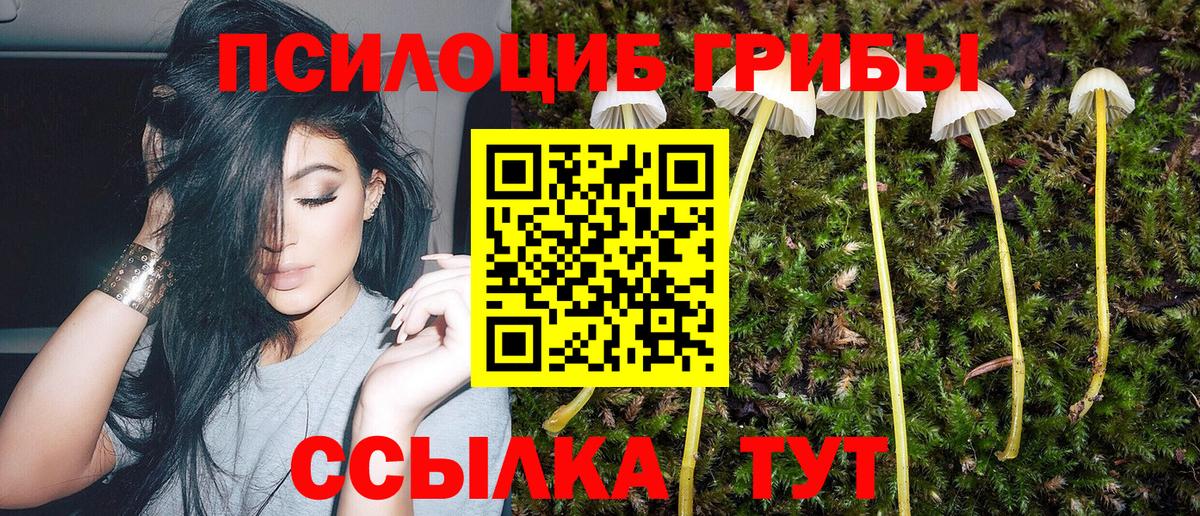 Джанкой  Псилоцибиновые грибы MAGIC MUSHROOMS  Галлюциногенные грибы мицелий  Вход с VPN 